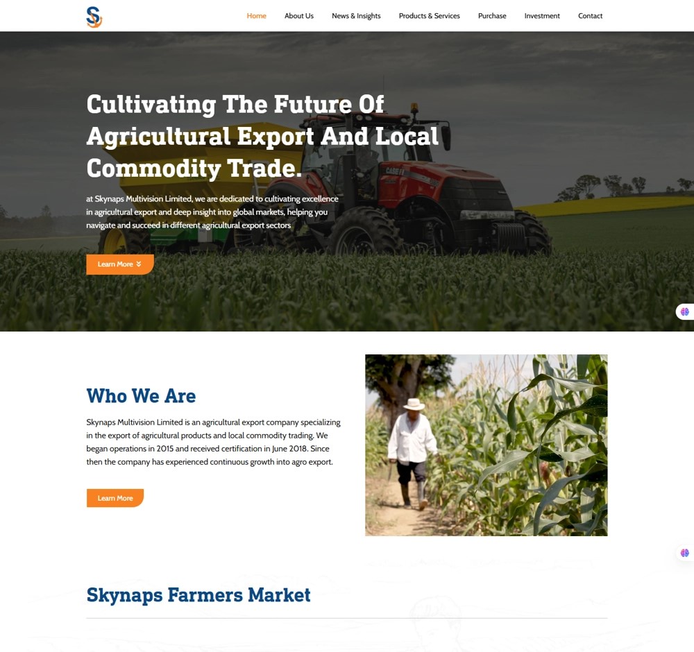 Skynaps Multivision Home page